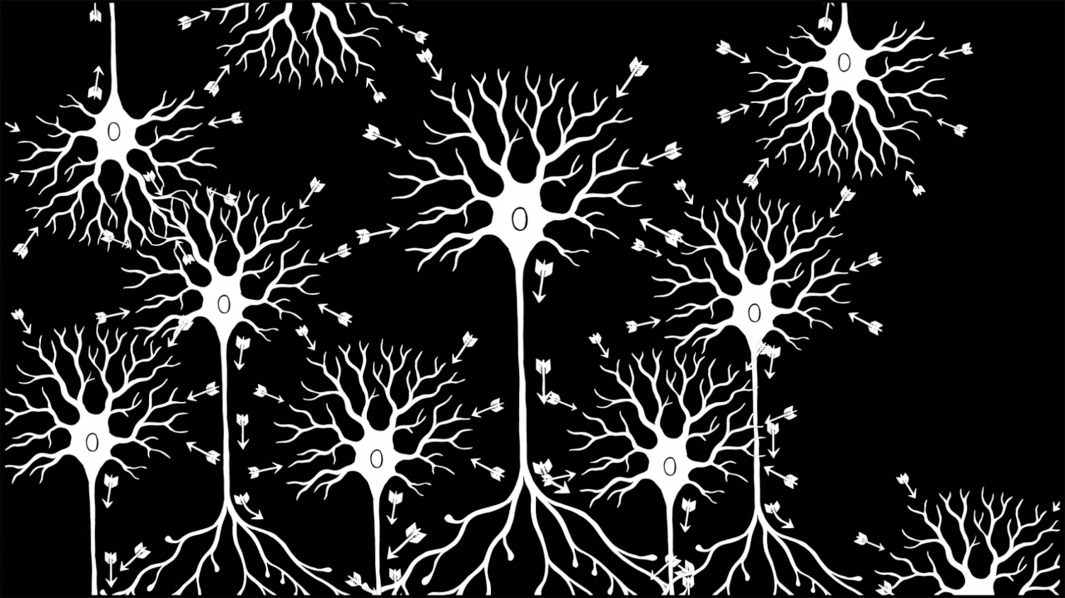 Fundamentals of Neuroscience, Part 2: Neurons and Networks MCB80.2x