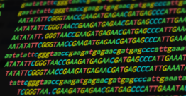 Case study: DNA methylation data analysis PH525.8x